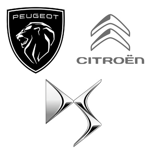 Reparación Estereo Pantalla Gps Peugeot Citroen