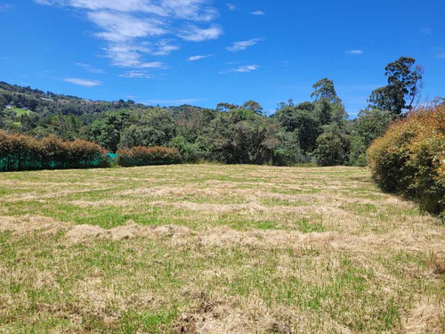 Venta De Lote En El Alto De Las Palmas Sector La Acuarela - Imagen 3