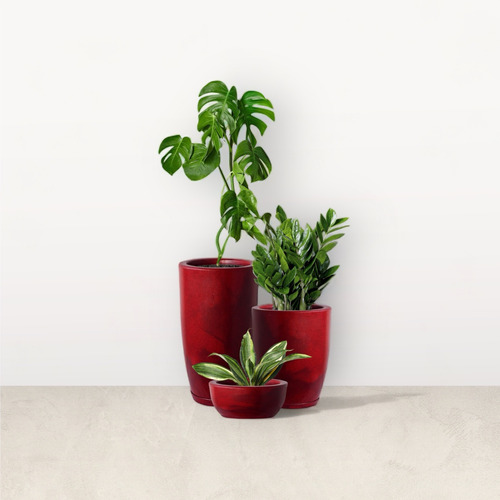 Jogo 3 Vasos Tipo Vietnamita Liso Brilho Plantas Casa Decor 