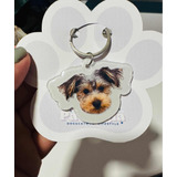 Plaquita Personalizada Mascota Perro Gato