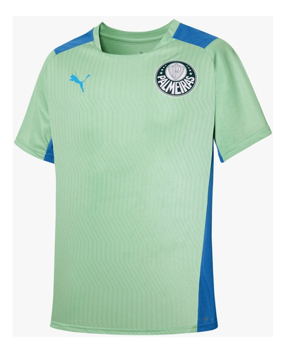 Camisa Treino Palmeiras Puma 22/23 Infantil