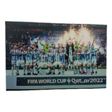 Cuadro Messi Argentina Mundial Seleccion 30x30