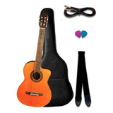 Violão Eletroacustico Takamine Gc5ce Kit Capa Lx