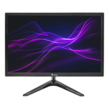 Monitor Stylos 19  Hdmi Vga Stpmot3b