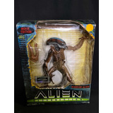 Warrior Alien Hasbro Kenner Figura De 1997