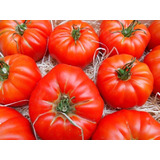 20 Semillas De Tomate Marmande - Antiguo Francés