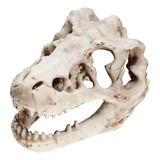 Acuario Dinosaurio Cráneo Cabeza Decoración Esqueleto