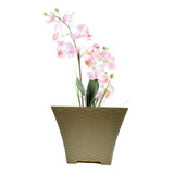 Maceta Rattan Cuadrada 38 X 38 Cm Grande 3 Piezas