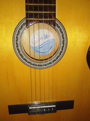 Guitarra Criolla Con Funda