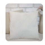 Almohadon Tusor Con Relleno Y Funda Desmontable 45x45 100%al