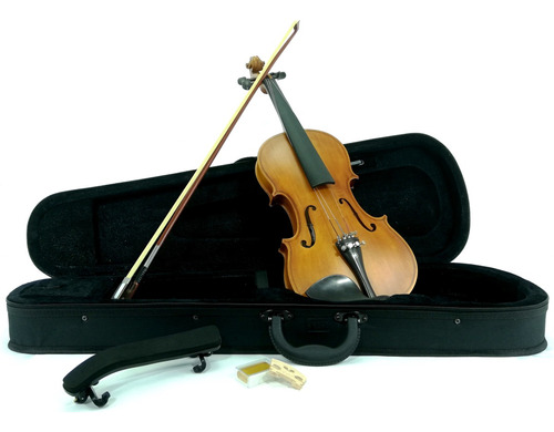 Violin Profesional 4/4 Con Piezas De Ebano Y Cojin De Regalo