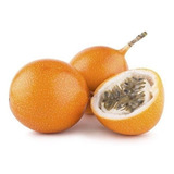 30 Sementes Granadilha O Maracuja + Doce Granadilla P/ Mudas