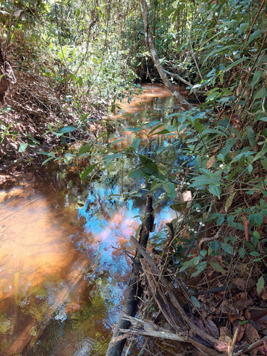 Predio Rural Titulado De 45 Hs En Madre De Dios - Perú