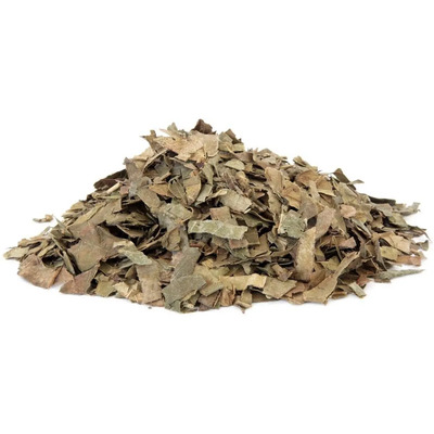 Hojas De Níspero - Eriobotrya Japonica Orgánica 500gr | Meses sin interés
