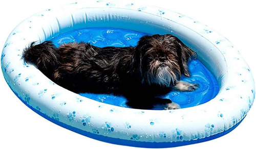 Flotador Inflable Para Mascotas Poolcandy Para Perros Pequeñ