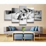 Quadros Decorativos Gatinho Filhote