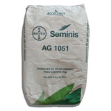 5kg Semente De Milho Ag 1051 Hibrido De Milho Seminis