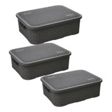 Caixas Organizadoras Rattan Baixa 10l Kit Com 3 Caixas 