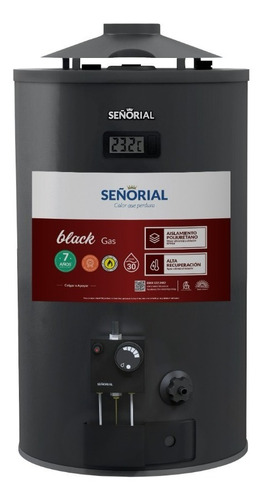 Termotanque 30 Lts Señorial Black Carga Sup-inf. Multigas