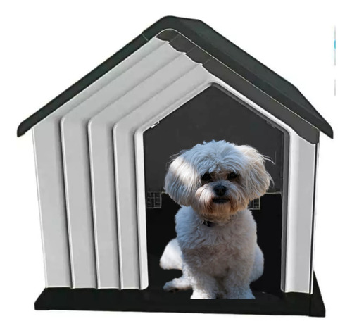 Casa Perro Chico Exterior Minimalista Elegante Impermeable