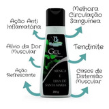 Kit 2 Gel Com Arnica E Erva De Santa Maria 200gr