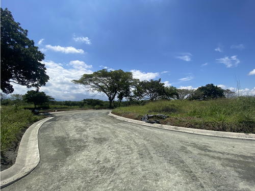 Venta Exclusivos Lotes Campestres Septima Etapa Cerritos Pereira - Imagen 4