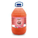 Shampoo Para Filhotes Cat Dog 5 Litros Pet Shop Banho E Tosa