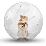 Esferas Para Hamster