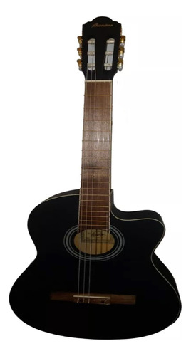 Guitarra Gc-39-bk-q Bamboo Electroacustica Incluye/funda 
