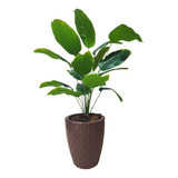 Planta Bananeira Artificial Toque Real Realista Vaso Marrom