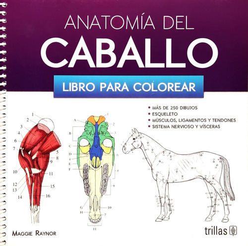 Anatomía Del Caballo Libro Para Colorear, Trillas