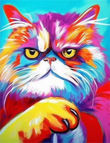 5d Diamond Painting Kit Pintura Diamante Gato  30x40cm