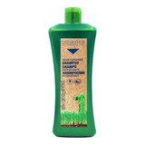 Shampoo Súper Hidratante Germen De Trigo 1lt Salerm Biokera