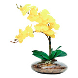 Arranjo Com 2 Orquideas Flor Amarelas Realista Vaso Terrário
