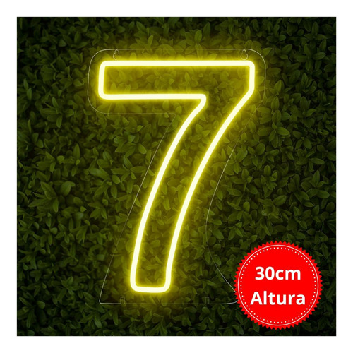 Painel Neon Numero Sete 7 Instagram Iluminação 30 Cm Cor Branco Quente 110v/220v