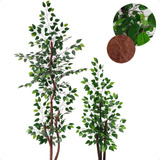Combo Arvore Artificial Grande E Ficus Verde Sem Vaso Decor 