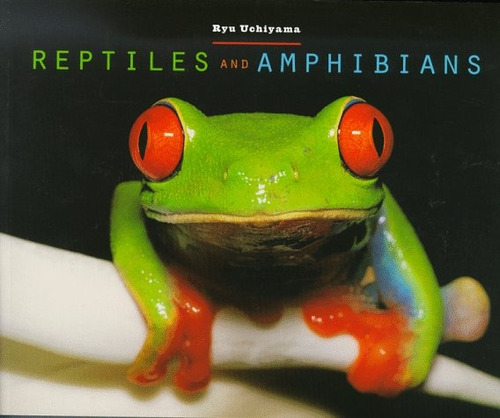 Reptiles And Amphibians - Ryu Uchiyama