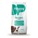 Semilla De Alfalfa Regina G6 Peman Premium Fiscalizada