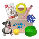 Mascobox Bienvenida Cachorros Perros Juguetes Chifle Pelota