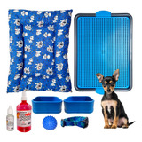 Kit Pet Colchão Cama Confort Basic Sanitário Xixi Sim/não P