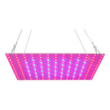 Lâmpada De Crescimento De Plantas Led Grow Leds Grow 169 Ful