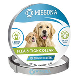 Collar Antipulgas Para Perros Pequeños Y Grandes/prevención