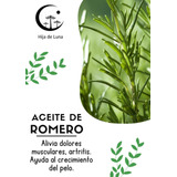 Aceite De Romero Puro Y Natural 100ml