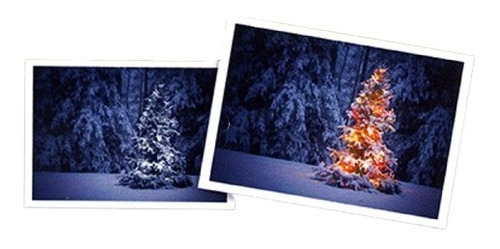 Photoshop Foto Sansminds Navidad Magia Truco Alberico Magic