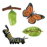 5 Paquete De 5-20 Mariposas Naturales Realistas 5 Piezas