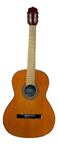 Guitarra Acústica Martin Sencilla
