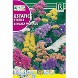 Sobre De Semilla Estatice Sinuata Variado 1 Grs