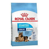 Royal Canin Maxi Starter X 10kg Madres Y Cachorros