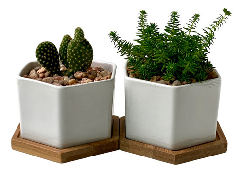 Maceta Set De 2 De Ceramica Blanca Para Suculentas Y Cactus 