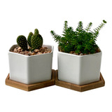 Maceta Set De 2 De Ceramica Blanca Para Suculentas Y Cactus 